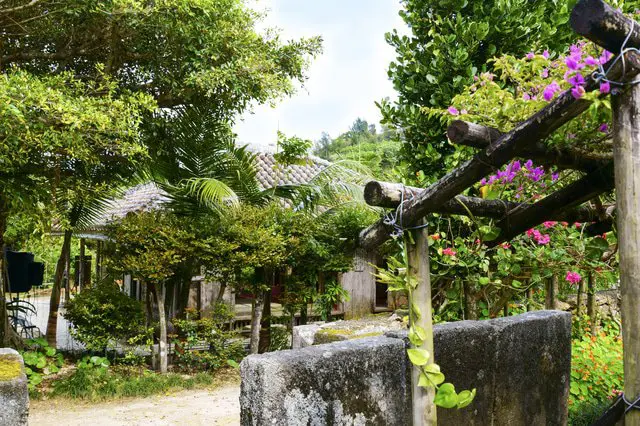 Okinawa Travel Guide: Access, Weather, And Beaches