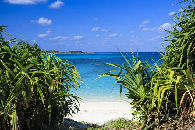 Okinawa Travel Guide: Access, Weather, And Beaches