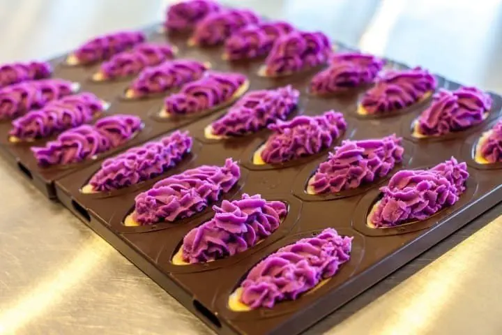 Okinawa Travel Guide: Access, Weather, And Beaches