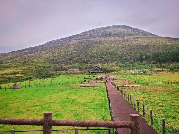 An Island in Tokyo? A Journey to Hachijojima – Hachijo View Hotel