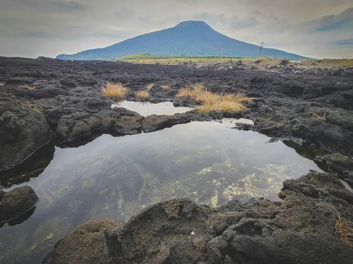 An Island in Tokyo? A Journey to Hachijojima – Hachijo View Hotel
