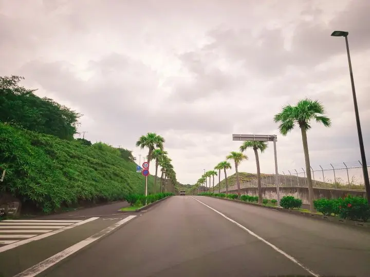 An Island in Tokyo? A Journey to Hachijojima – Hachijo View Hotel