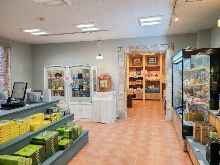 An Island in Tokyo? A Journey to Hachijojima – Hachijo View Hotel