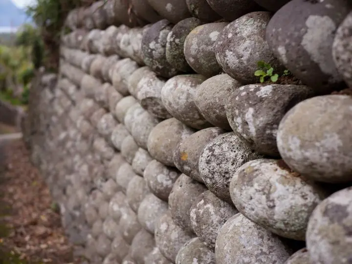 An Island in Tokyo? A Journey to Hachijojima – Hachijo View Hotel