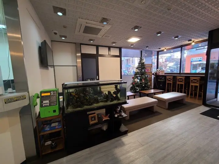 A Wa-Modern Stay: Tokyo Ueno New Izu Hotel