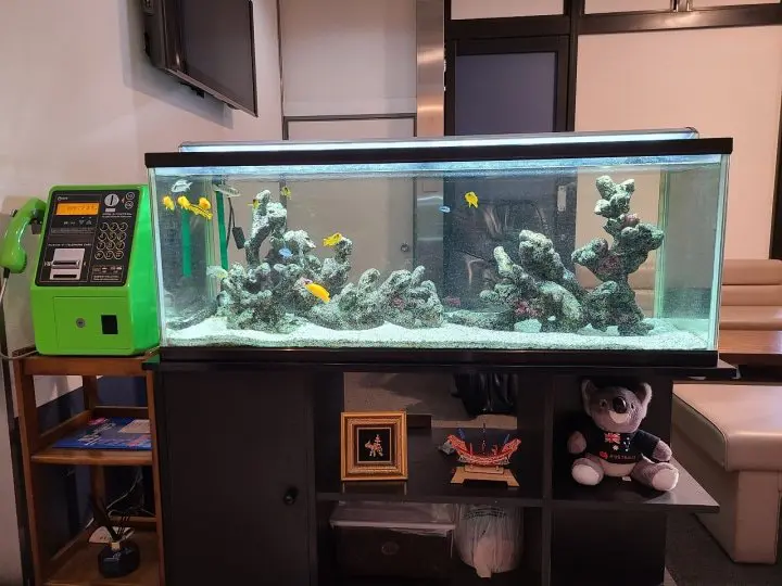 A Wa-Modern Stay: Tokyo Ueno New Izu Hotel