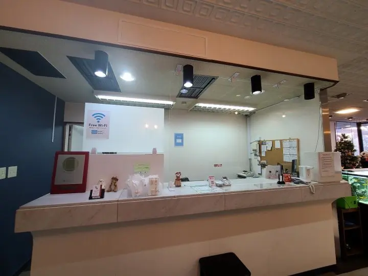 A Wa-Modern Stay: Tokyo Ueno New Izu Hotel