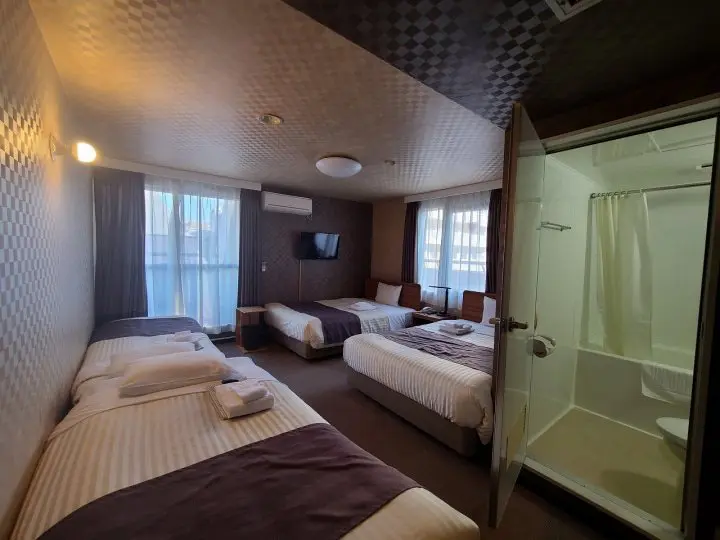 A Wa-Modern Stay: Tokyo Ueno New Izu Hotel