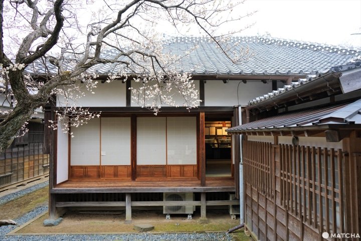 Ibaraki: Enjoy Nature and Japanese Culture Near Tokyo! 5 Special Tours
