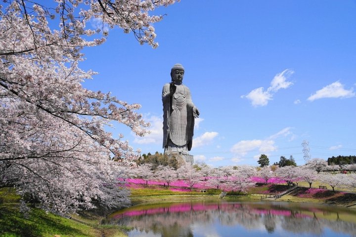 Ibaraki: Enjoy Nature and Japanese Culture Near Tokyo! 5 Special Tours