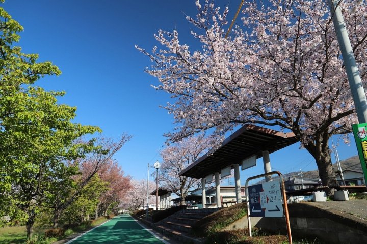 Ibaraki: Enjoy Nature and Japanese Culture Near Tokyo! 5 Special Tours