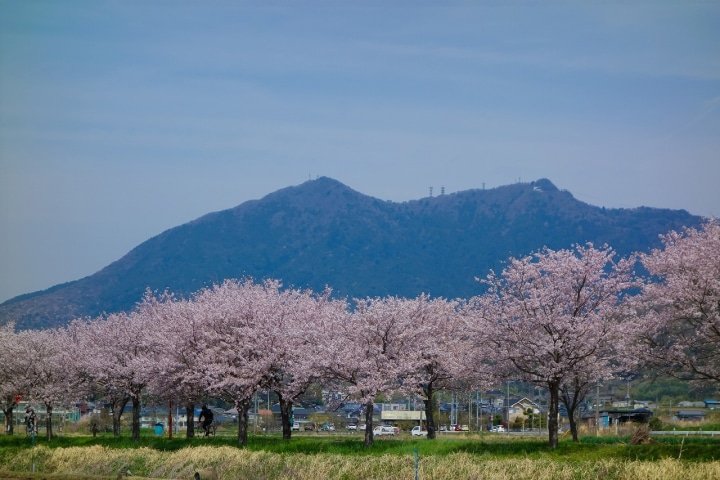 Ibaraki: Enjoy Nature and Japanese Culture Near Tokyo! 5 Special Tours