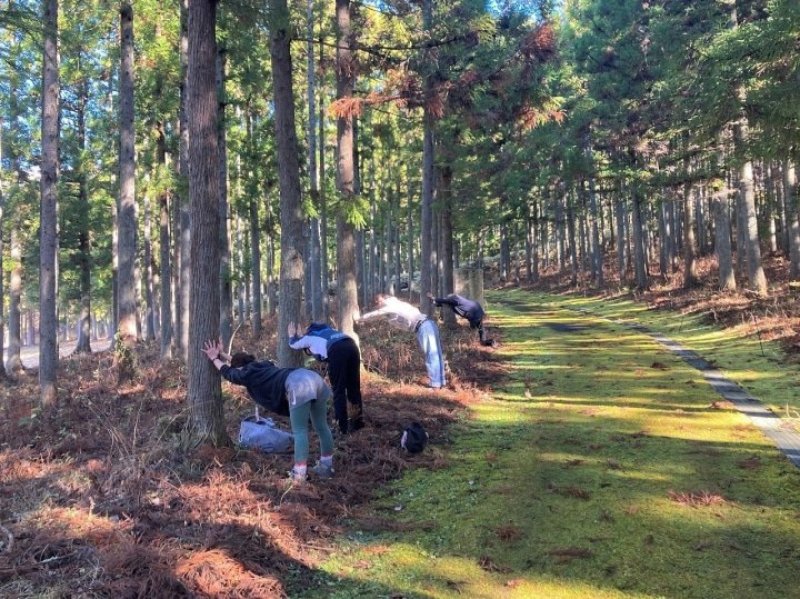 Ibaraki: Enjoy Nature and Japanese Culture Near Tokyo! 5 Special Tours