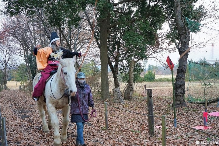 Ibaraki: Enjoy Nature and Japanese Culture Near Tokyo! 5 Special Tours