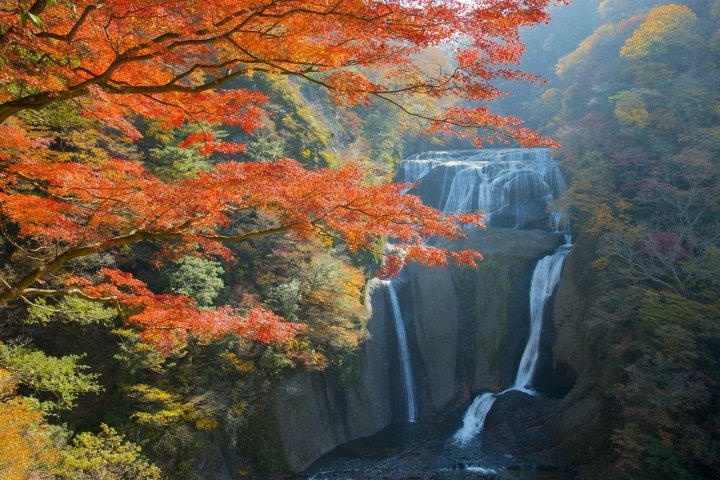 Ibaraki: Enjoy Nature and Japanese Culture Near Tokyo! 5 Special Tours