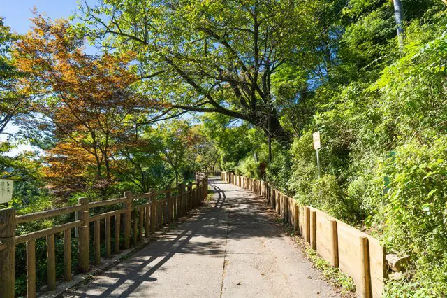 當日來回，說走就走！東京健行登山5景點