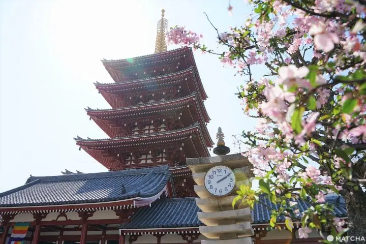 浅草寺でひときわ目立つ、「五重塔」に行ってみよう