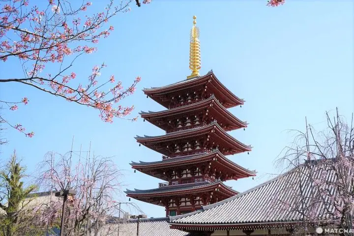 Asakusa in 2022: A Recommended Walking Route
