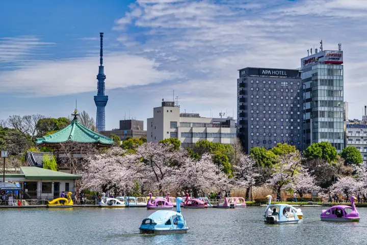 Tokyo Guide: Top 30 Things to Do, Travel Tips, Weather, and More