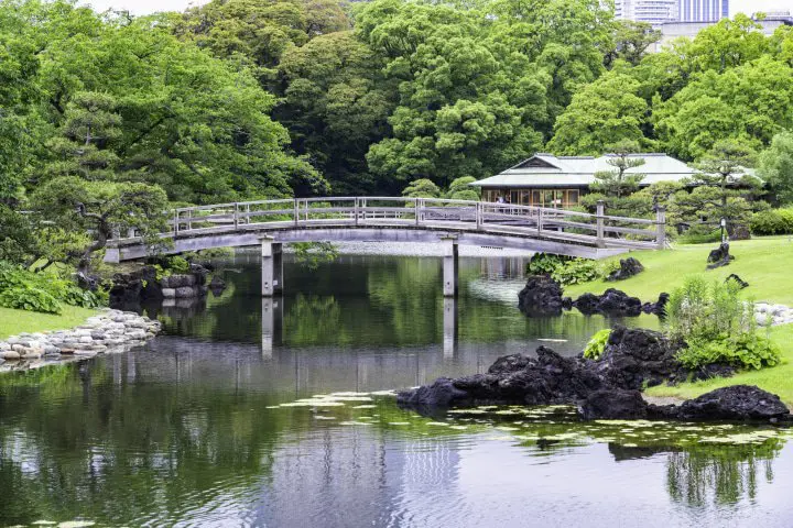 Tokyo Guide: Top 30 Things to Do, Travel Tips, Weather, and More