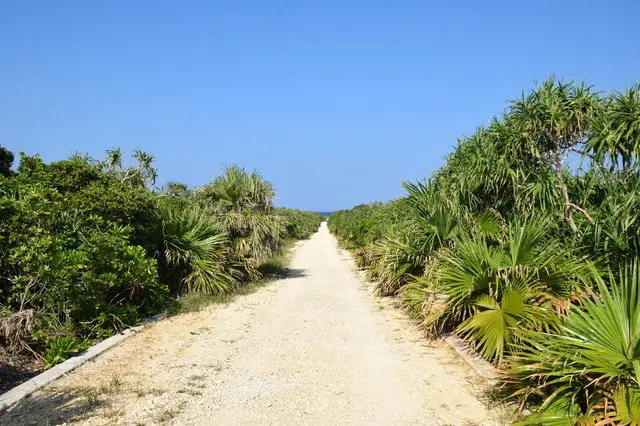 【冲绳·久高岛】从那霸一天往返！去神之岛，感受冲绳往昔风采