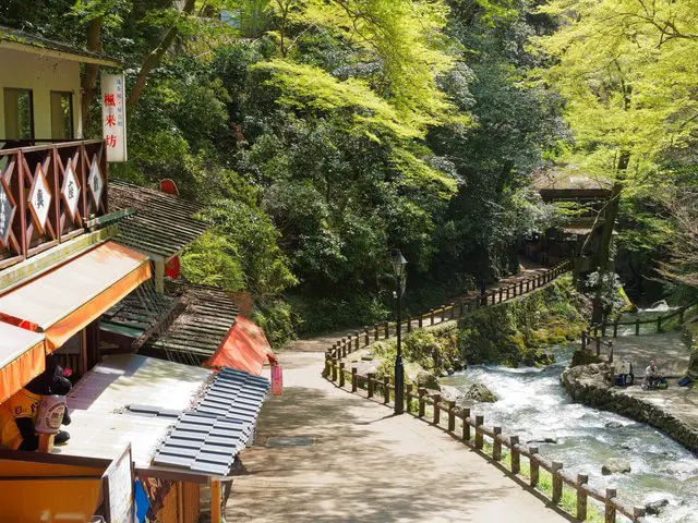 【夏】涼と癒しを求めて「箕面大滝」を見に渓谷ハイキングへ