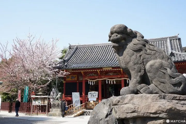 Asakusa Shrine: Dedicated to the Founders of Sensoji Temple