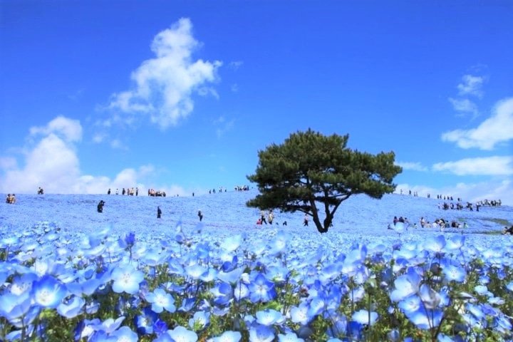 福島