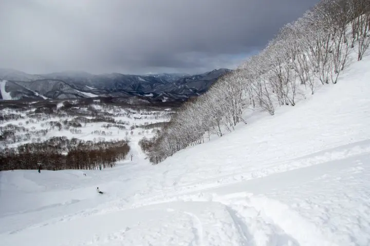 ウィンタースポーツを満喫！冬のオススメレジャーとスポットまとめ【2021~2022年版】