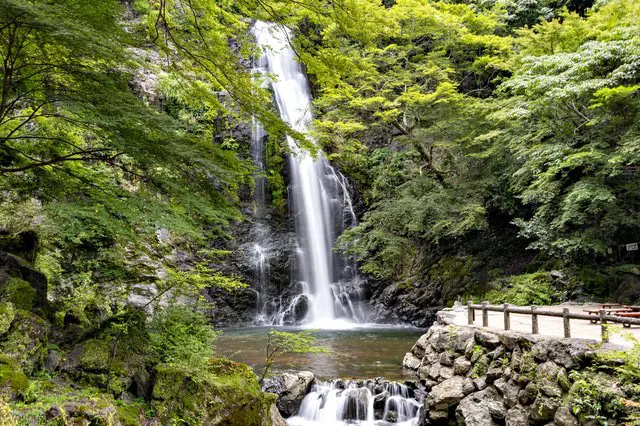 Minoo Waterfall - A Place Of Scenic Beauty Near Osaka