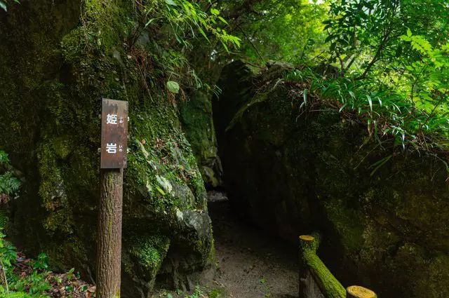 Minoo Waterfall - A Place Of Scenic Beauty Near Osaka