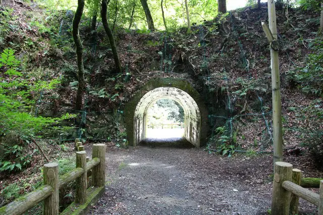 Minoo Waterfall - A Place Of Scenic Beauty Near Osaka