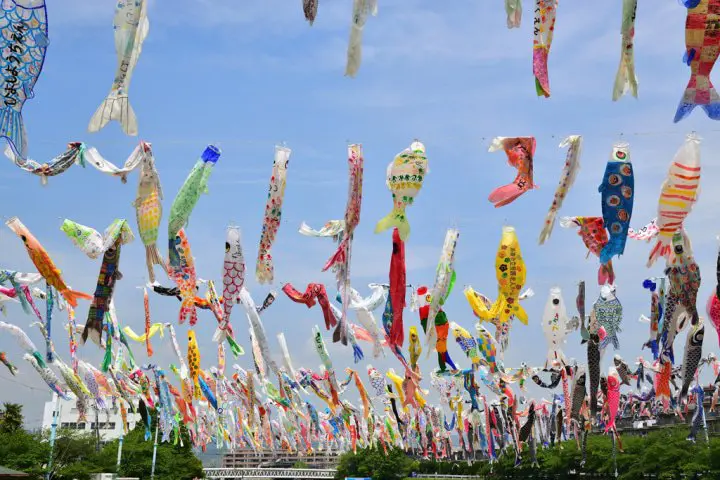 日本兒童節千隻鯉魚旗飄揚高掛大阪芥川上空