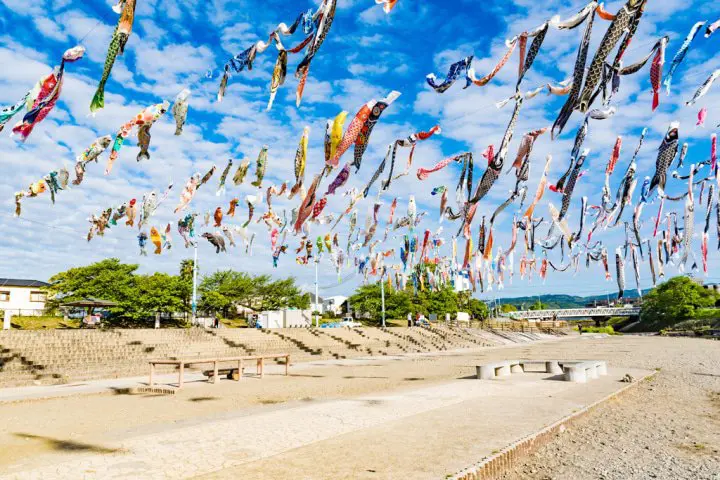 日本兒童節千隻鯉魚旗飄揚高掛大阪芥川上空