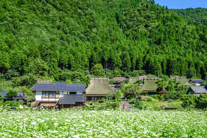 【山之京都】遗世独立的美山合掌村