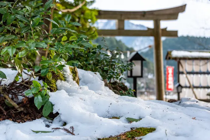 【山之京都】遗世独立的美山合掌村
