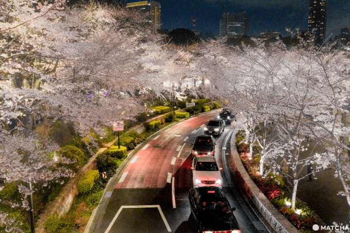 Panduan Wisata Roppongi, Mulai dari Tempat Wisata, Seni, Pemandangan, Kuliner, Sampai Kehidupan Malamnya!