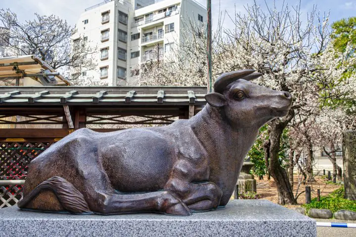 【东京·汤岛天神】快来供奉着学识之身的“汤岛天神”祈求金榜题名吧！