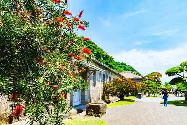 九州の南端「鹿児島県」ってどんな所？ー文化編ー
