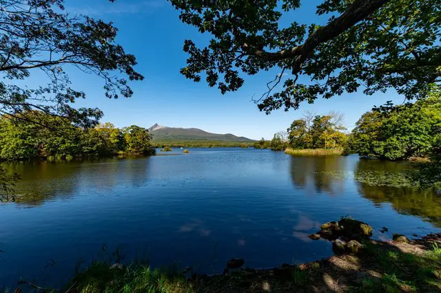 Enjoy Hakodate's Elegant Streets and Nature with This 2-Day Itinerary!