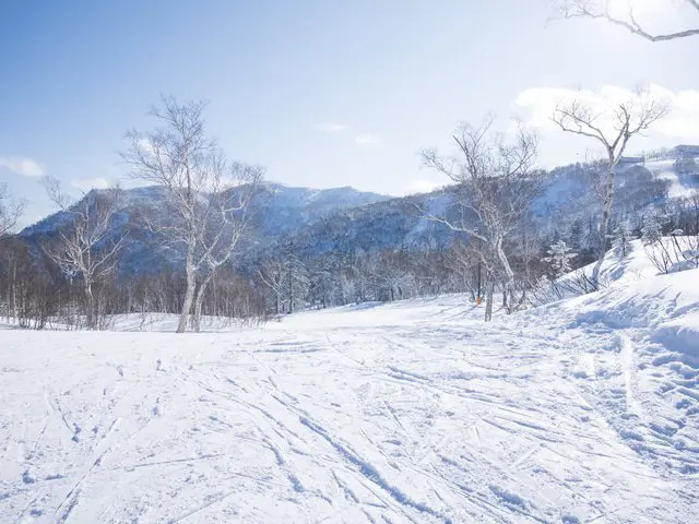 5 Pilihan Resor Ski Terbaik di Hokkaido (Edisi 2019—2020)