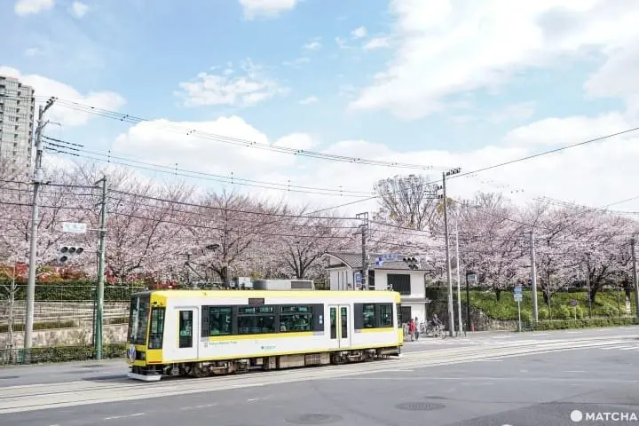 日本全国路面电车巡礼 ，你搭过哪些？