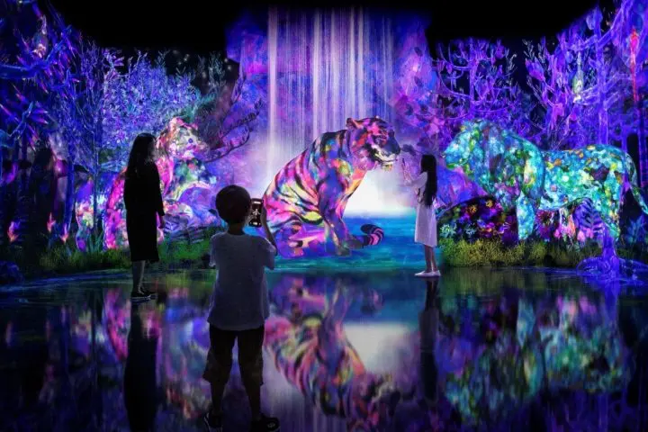 teamLab’s Newest Exhibition Opens at Galaxy Harajuku this April