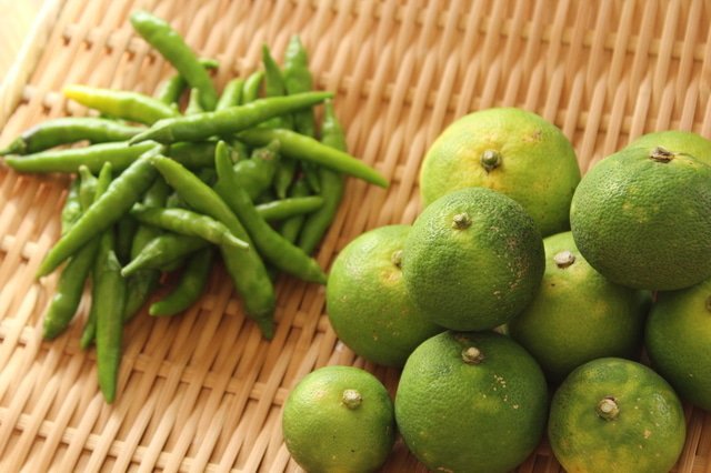柚子胡椒是什麼 日本人氣調味料 Matcha 日本線上旅遊觀光雜誌
