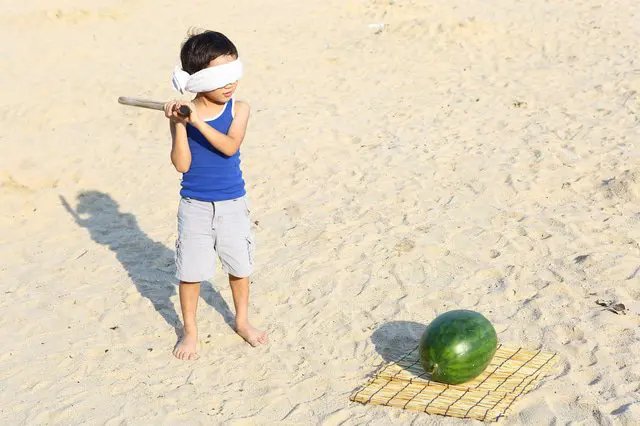 สารานุกรมคำญี่ปุ่น「ซุยกะวาริ」