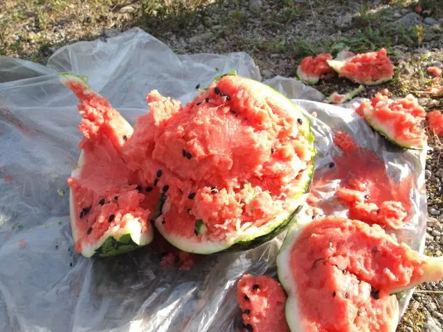 สารานุกรมคำญี่ปุ่น「ซุยกะวาริ」