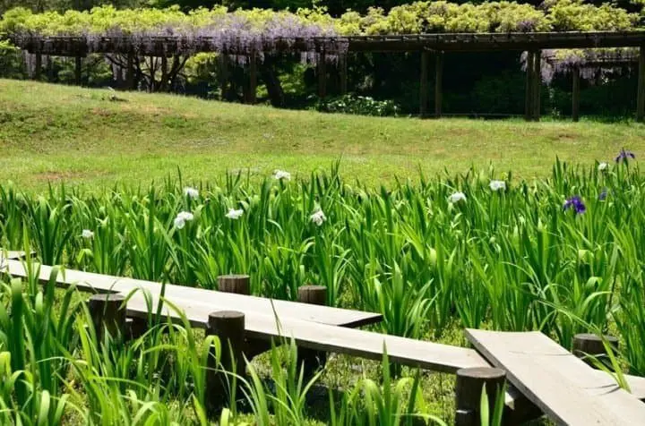 庭園好きにオススメ！都内で行くならこの5カ所