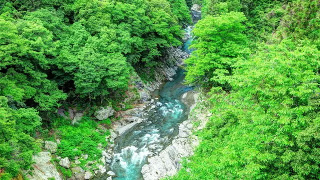 東京近辺で自然を味わおう!ハイキングするならこの5カ所