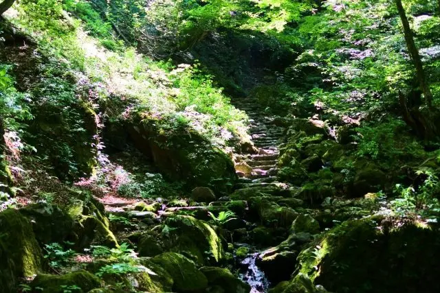 東京近辺で自然を味わおう!ハイキングするならこの5カ所