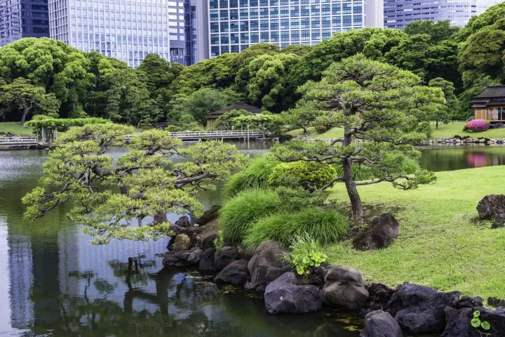 【絶景】一度は見たい訪日旅行者にオススメの日本庭園5選